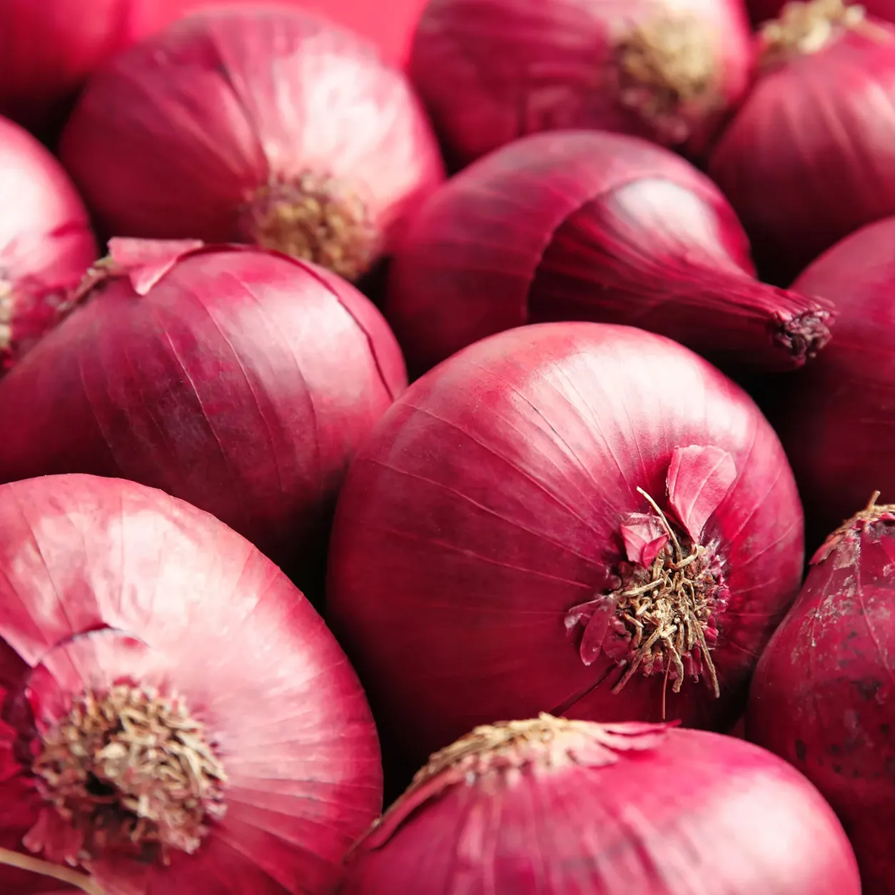 Fresh Indian Red Onion