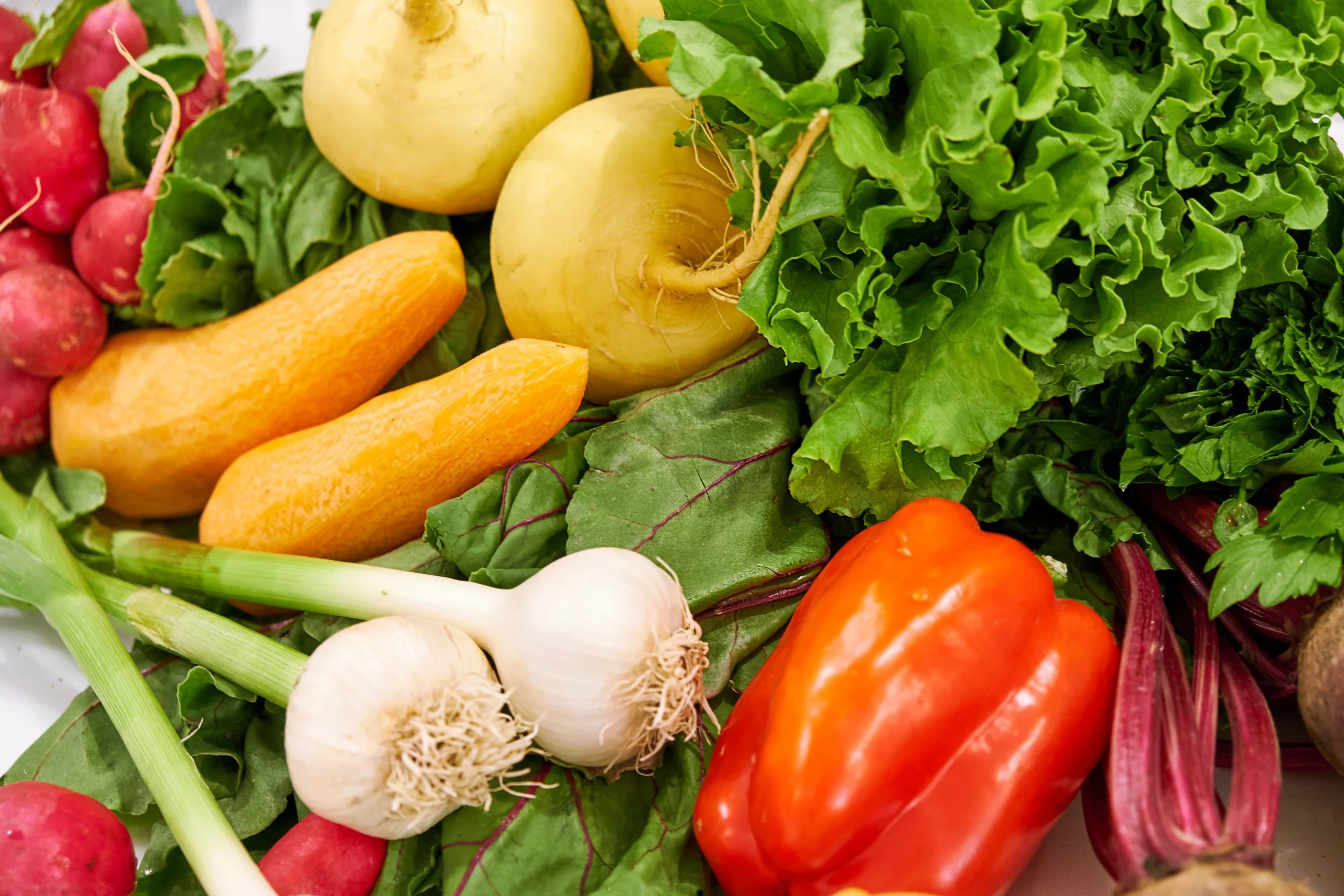 Colorful assortment of fresh vegetables, leafy greens, garlic, radishes, and bell pepper.