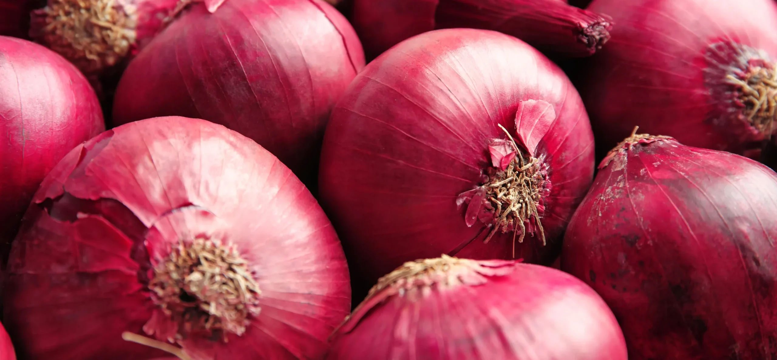 Close-up of fresh red onions in a pile. for export