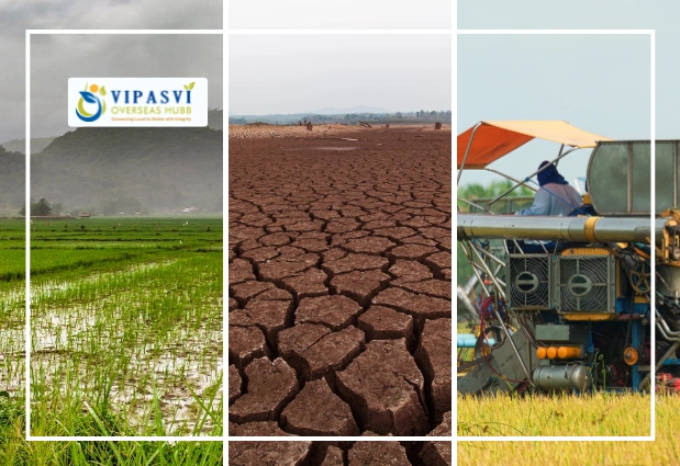 climate change impact Indian agriculture