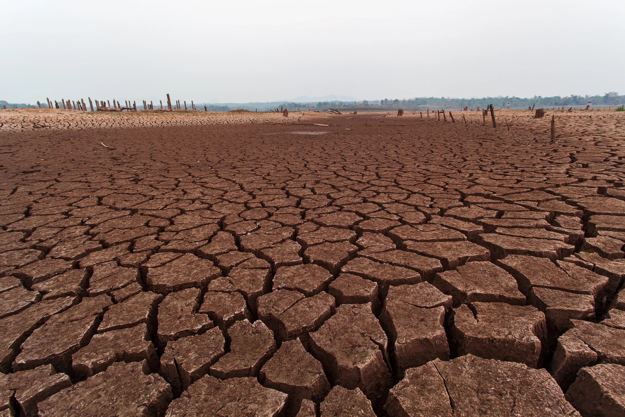 Climate change impact on Indian agriculture dry cracked field