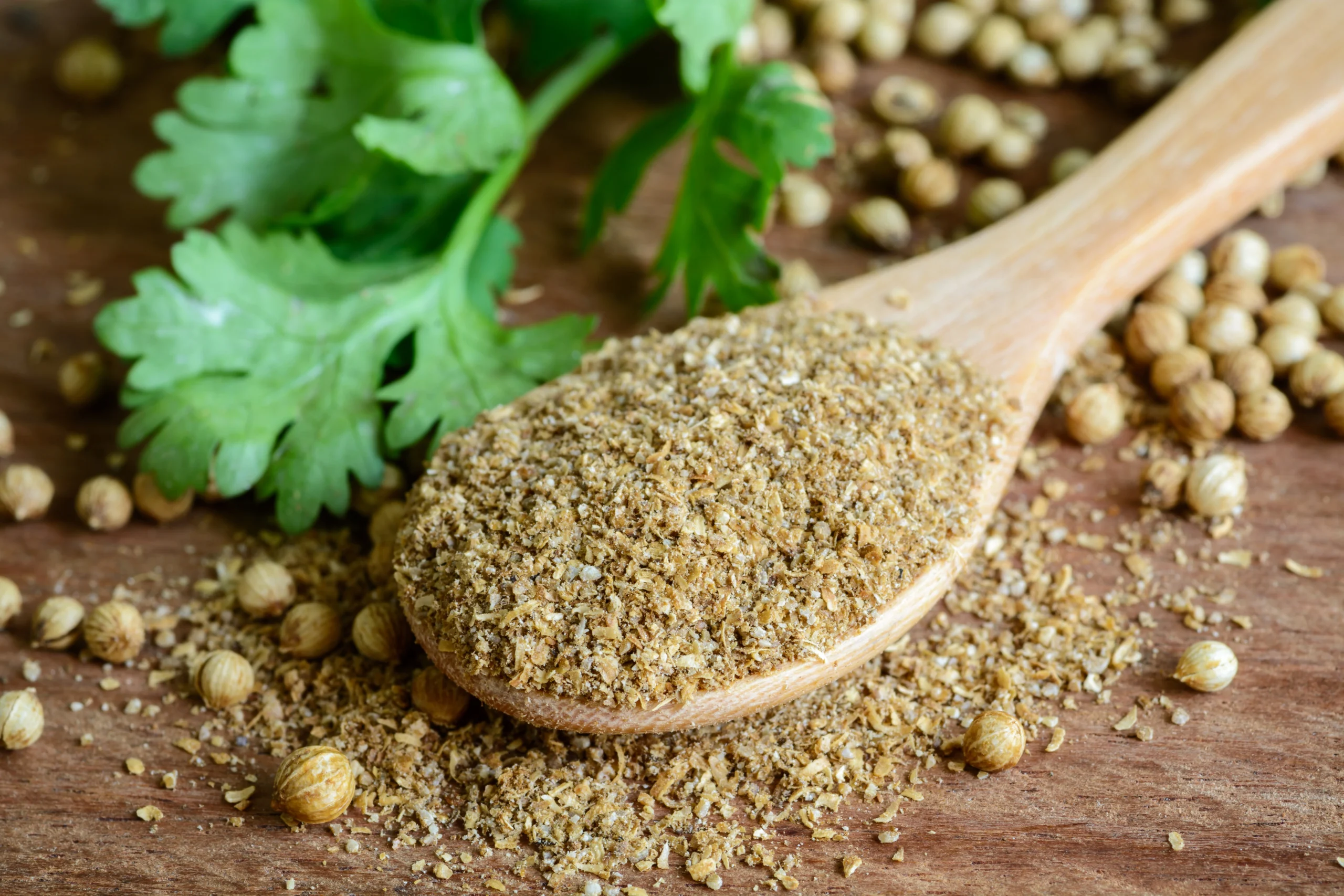 Cumin coriander export India