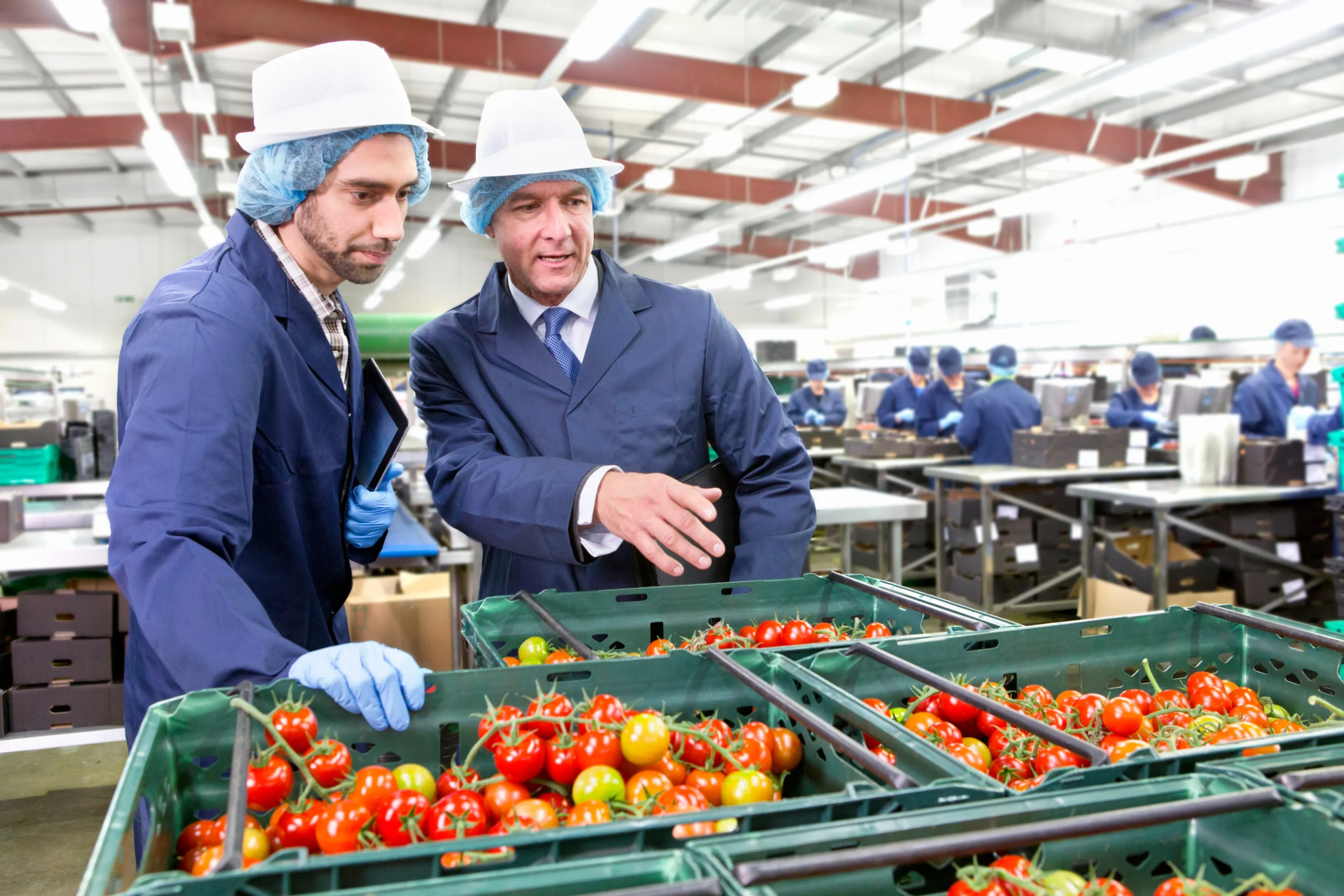 Duty free food export to UK from India fruits spices basket