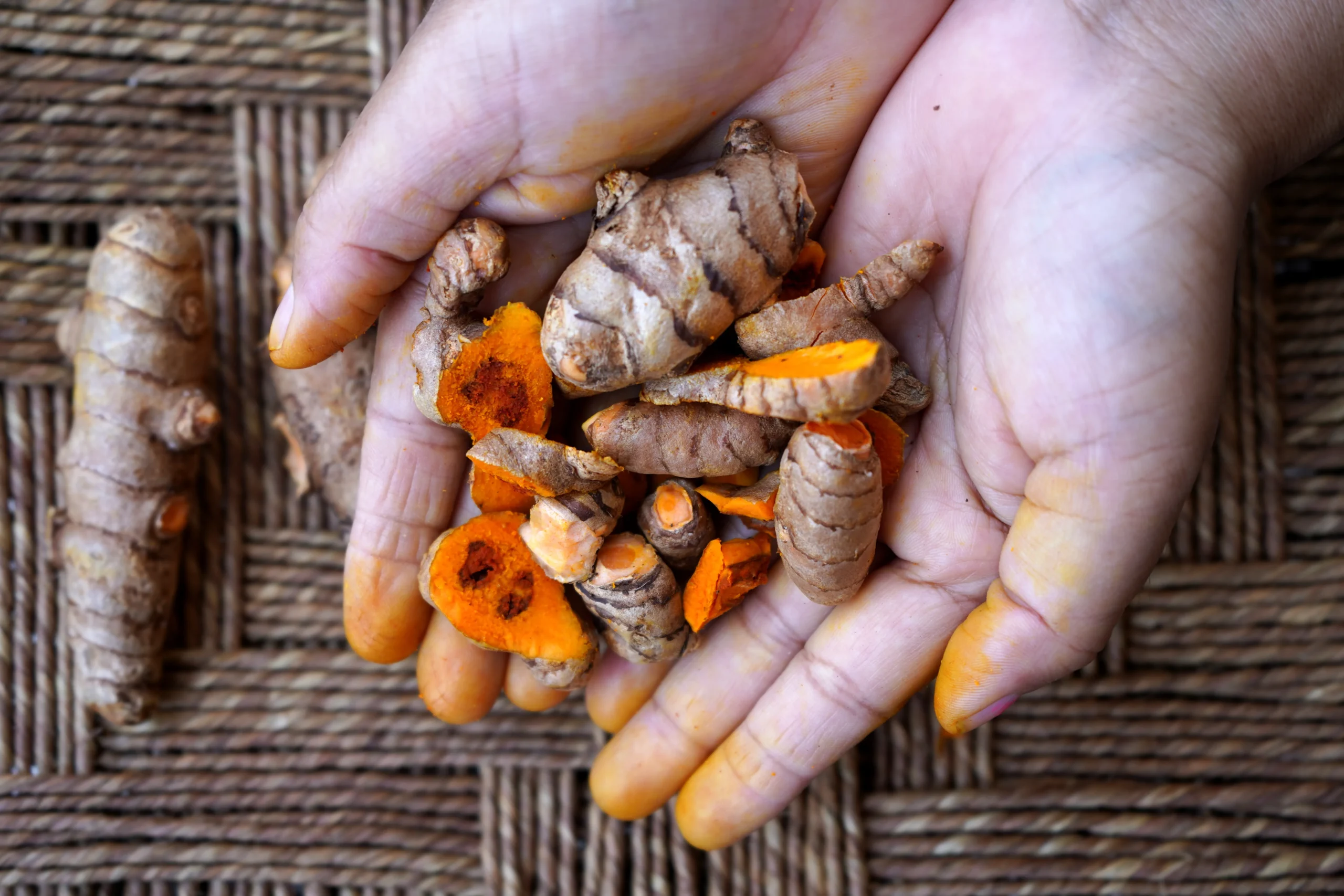 Hands holding whole and sliced fresh turmeric roots, showing their vivid orange interior.