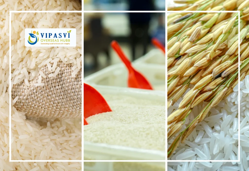 Premium basmati rice export India in bulk