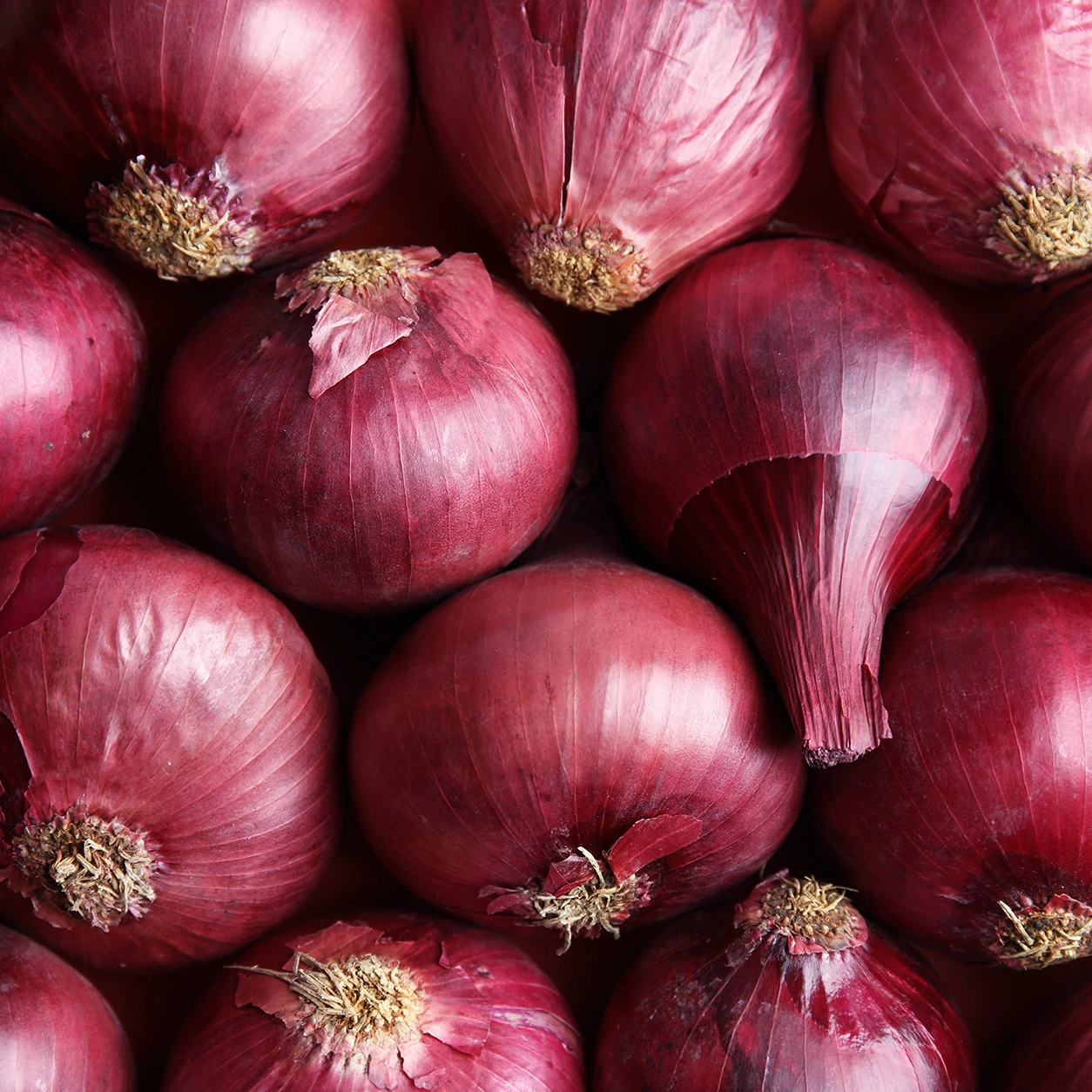 Fresh Indian Red Onion