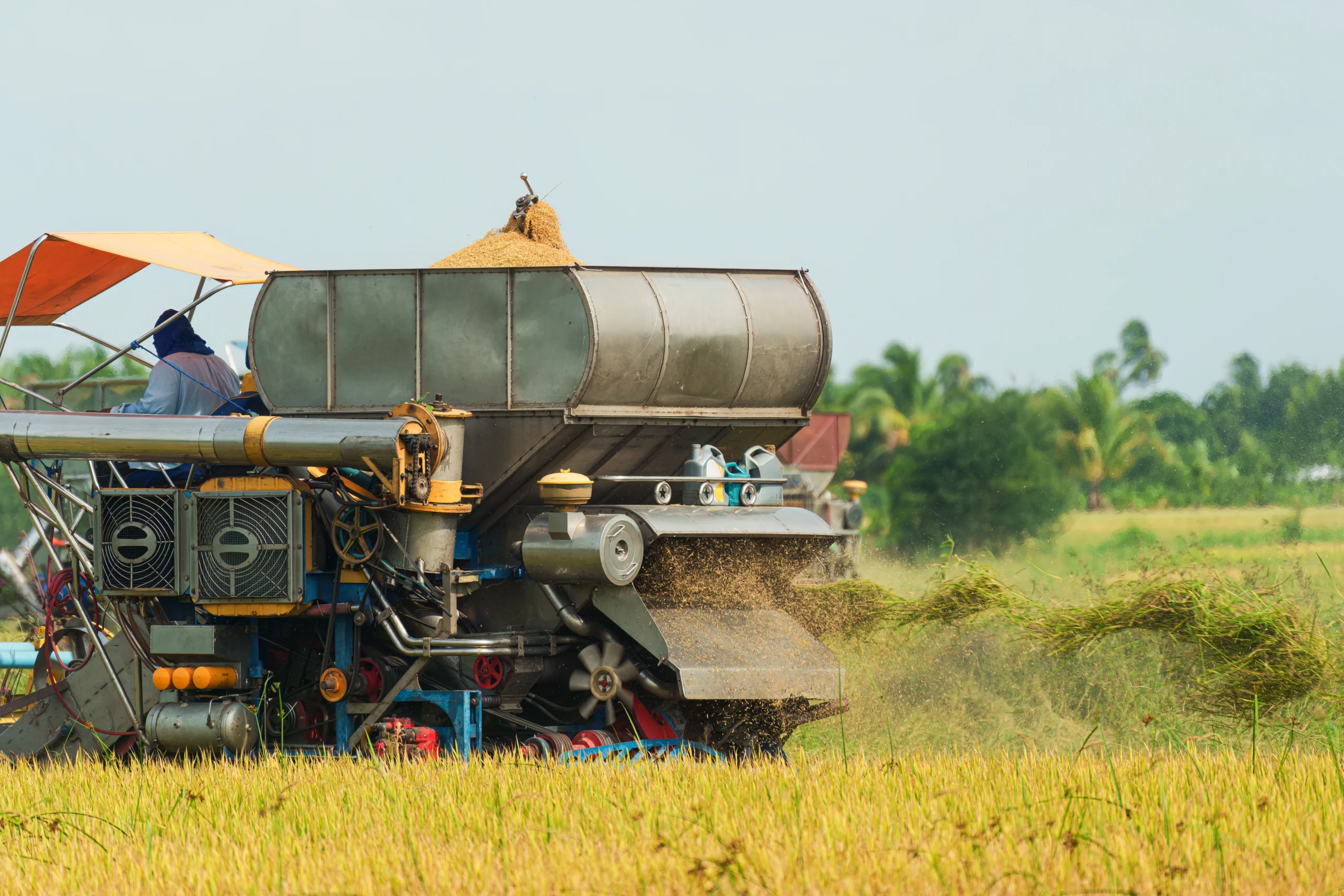 Climate change impact on Indian agriculture and exports