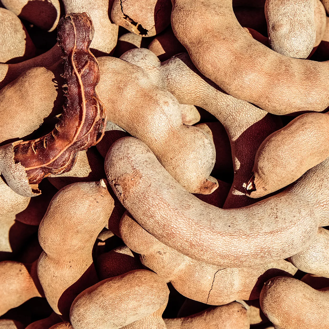 Tamarind