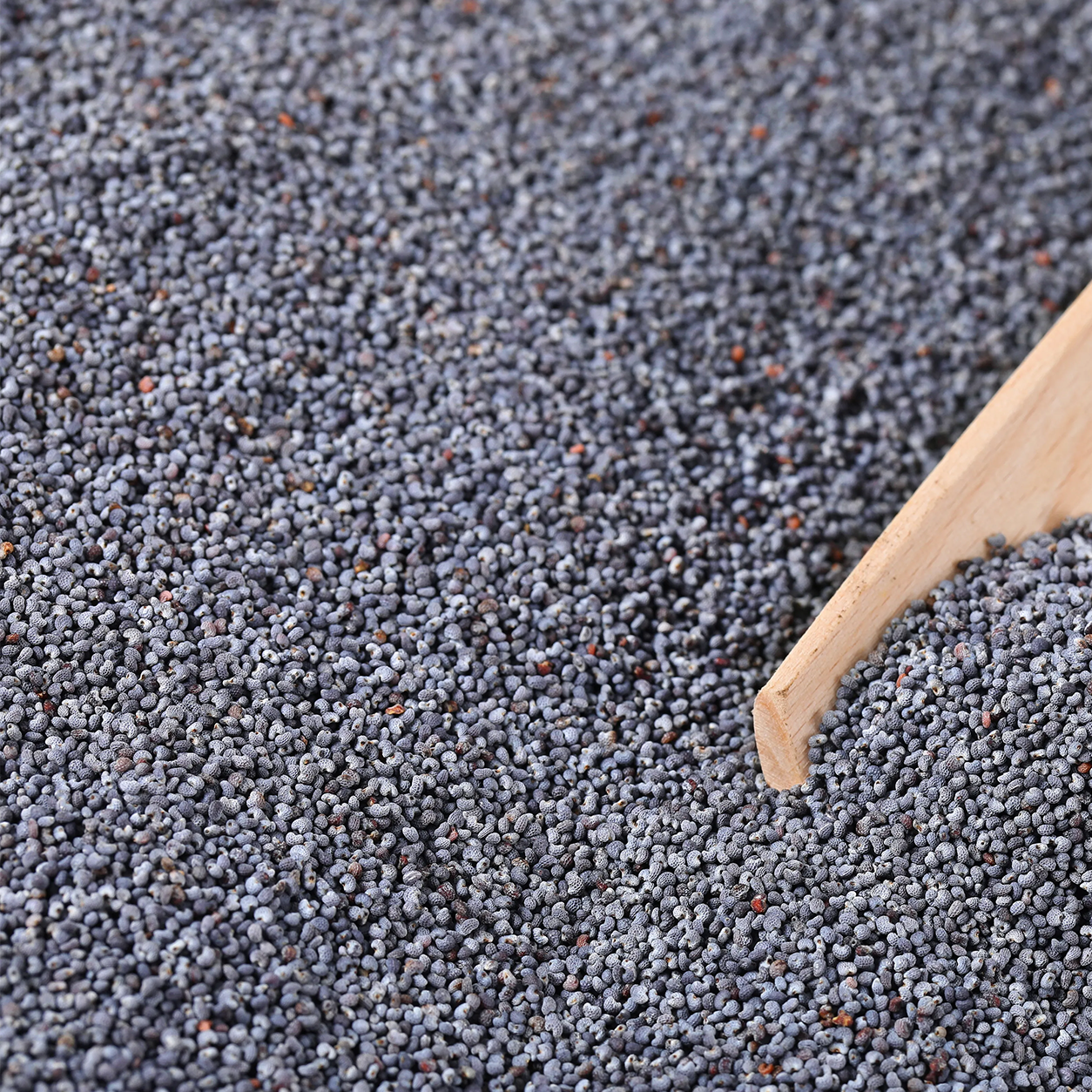 Poppy Seeds