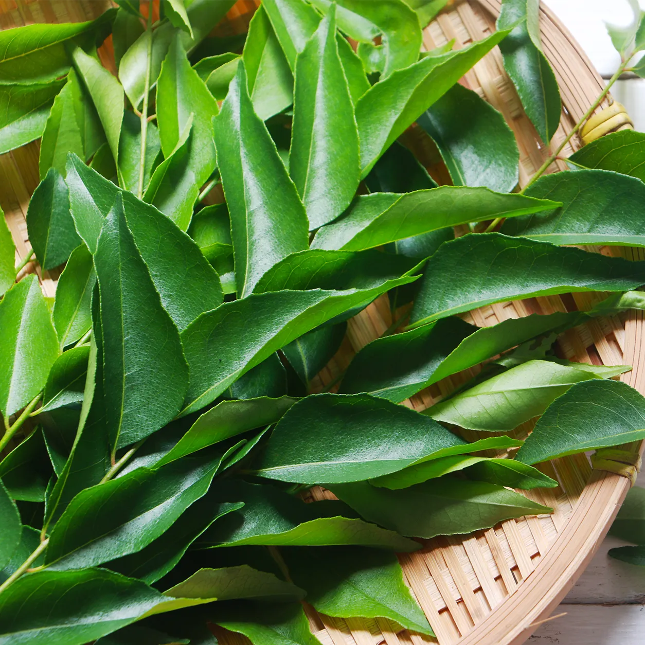Curry Leaves