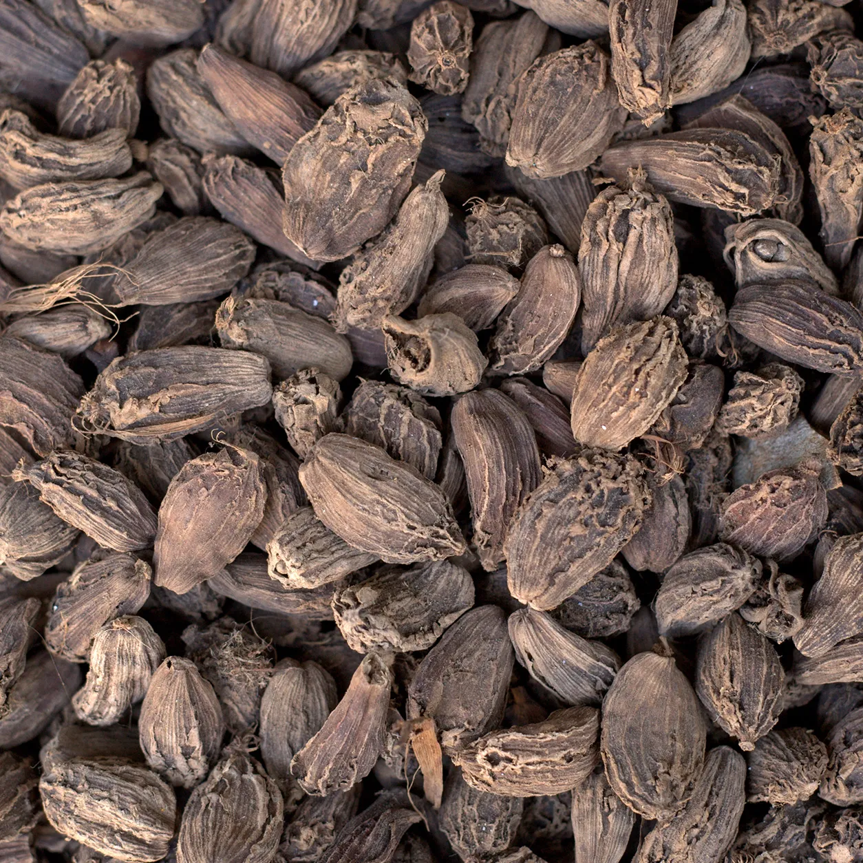 Black Cardamom 