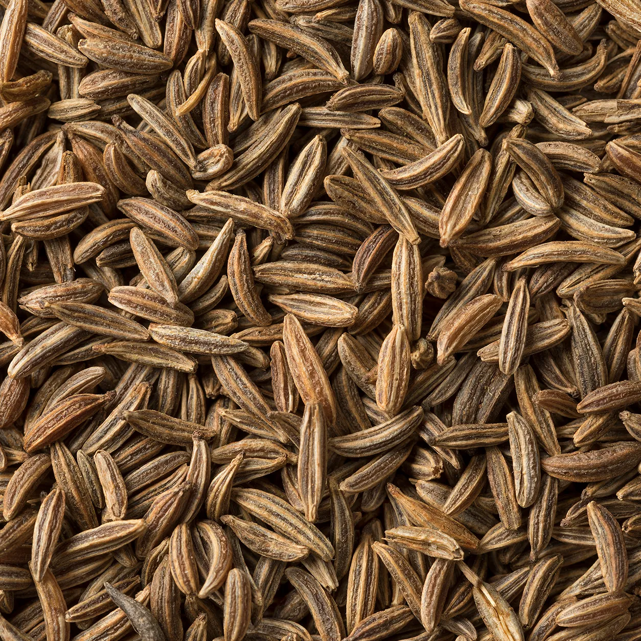 Indian Cumin Seeds 