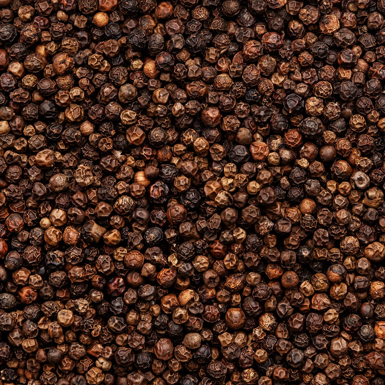 Indian Black Pepper
