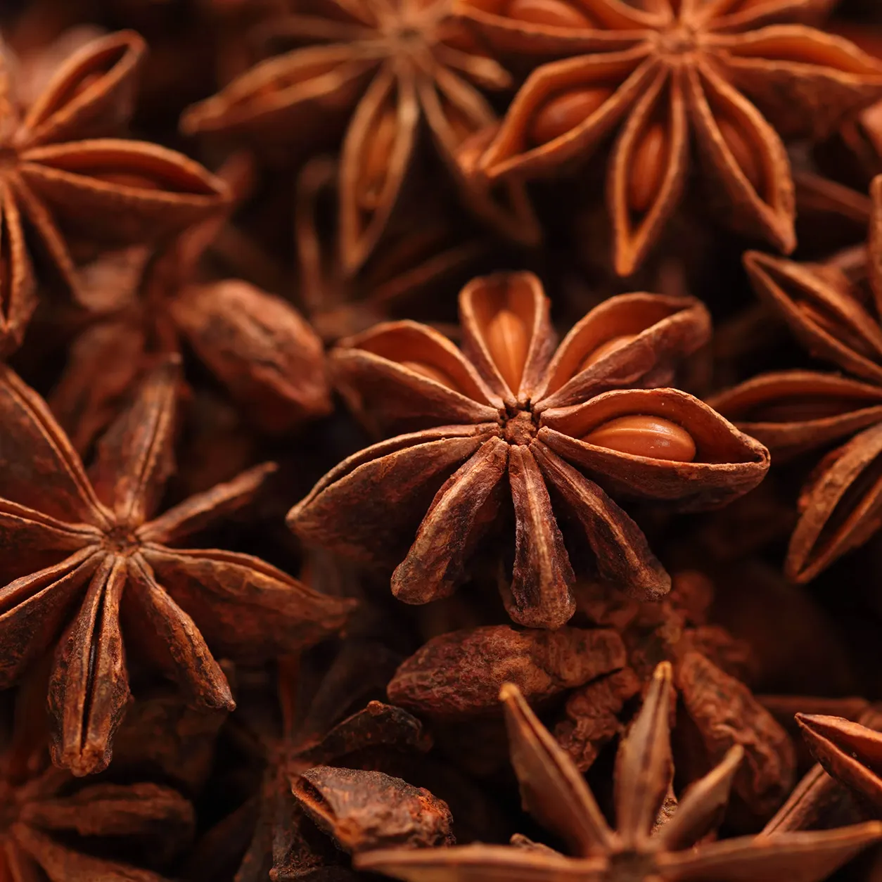 Star Anise 