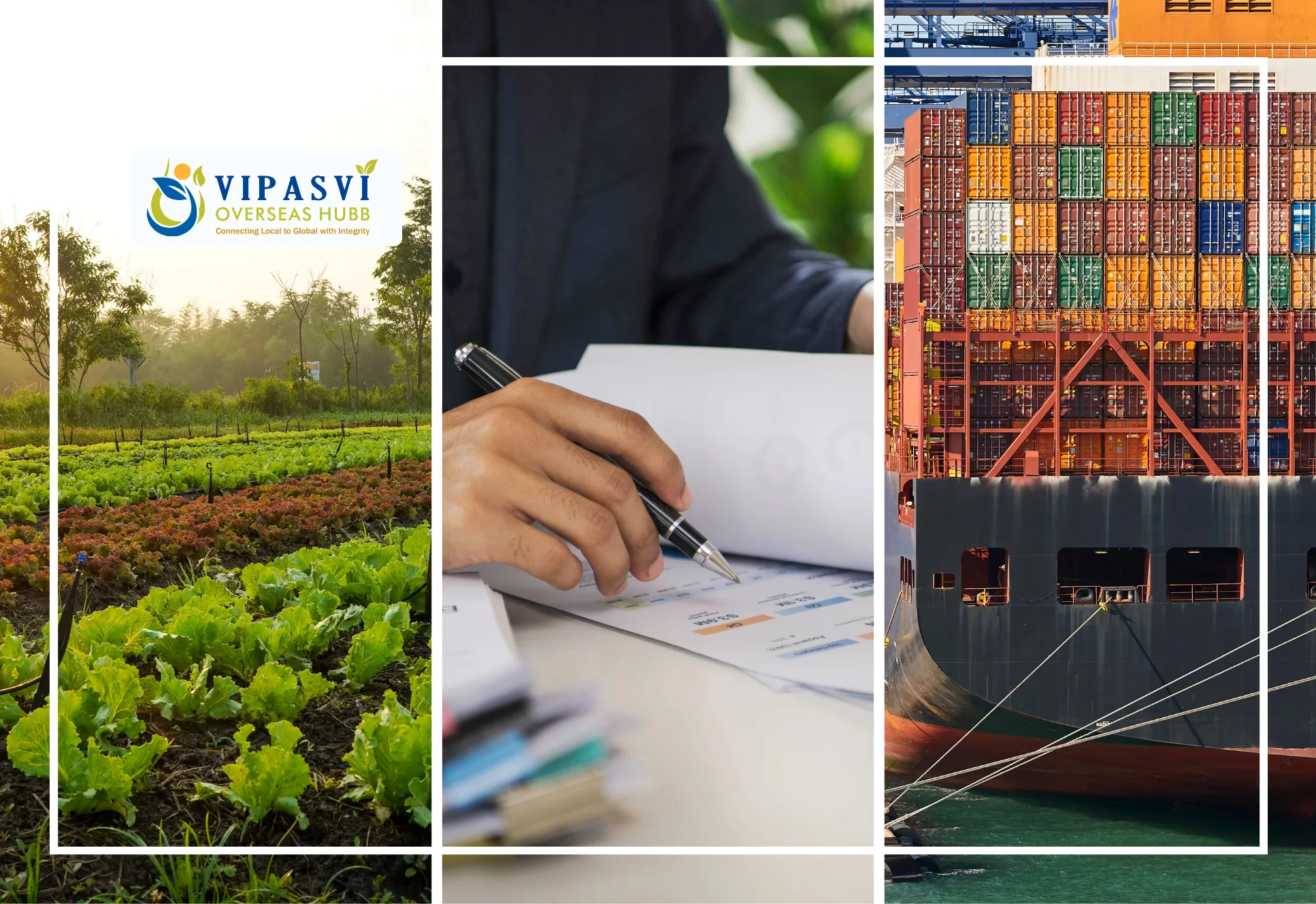 Agri Export Promotion Council of India: Best APEDA Guide