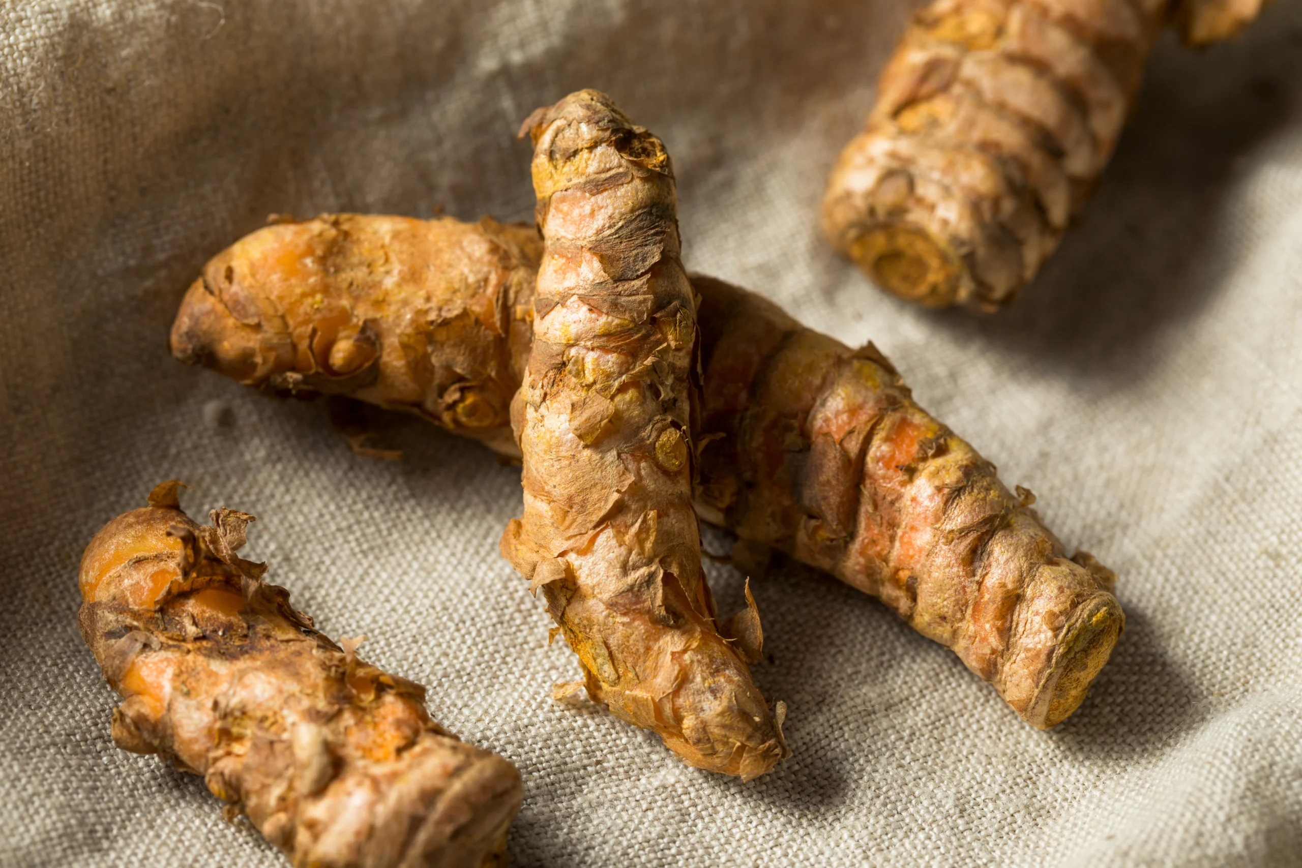 High curcumin turmeric Export from India to New Zealand 