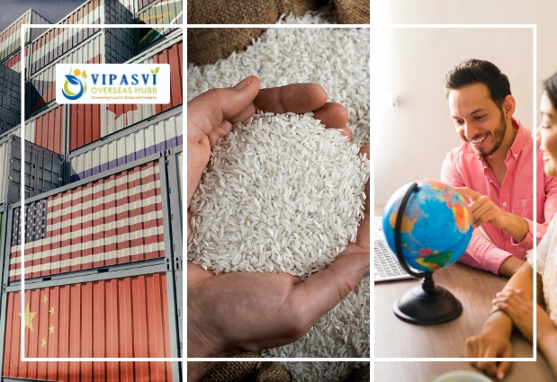 Indian Rice Exporter Best Basmati