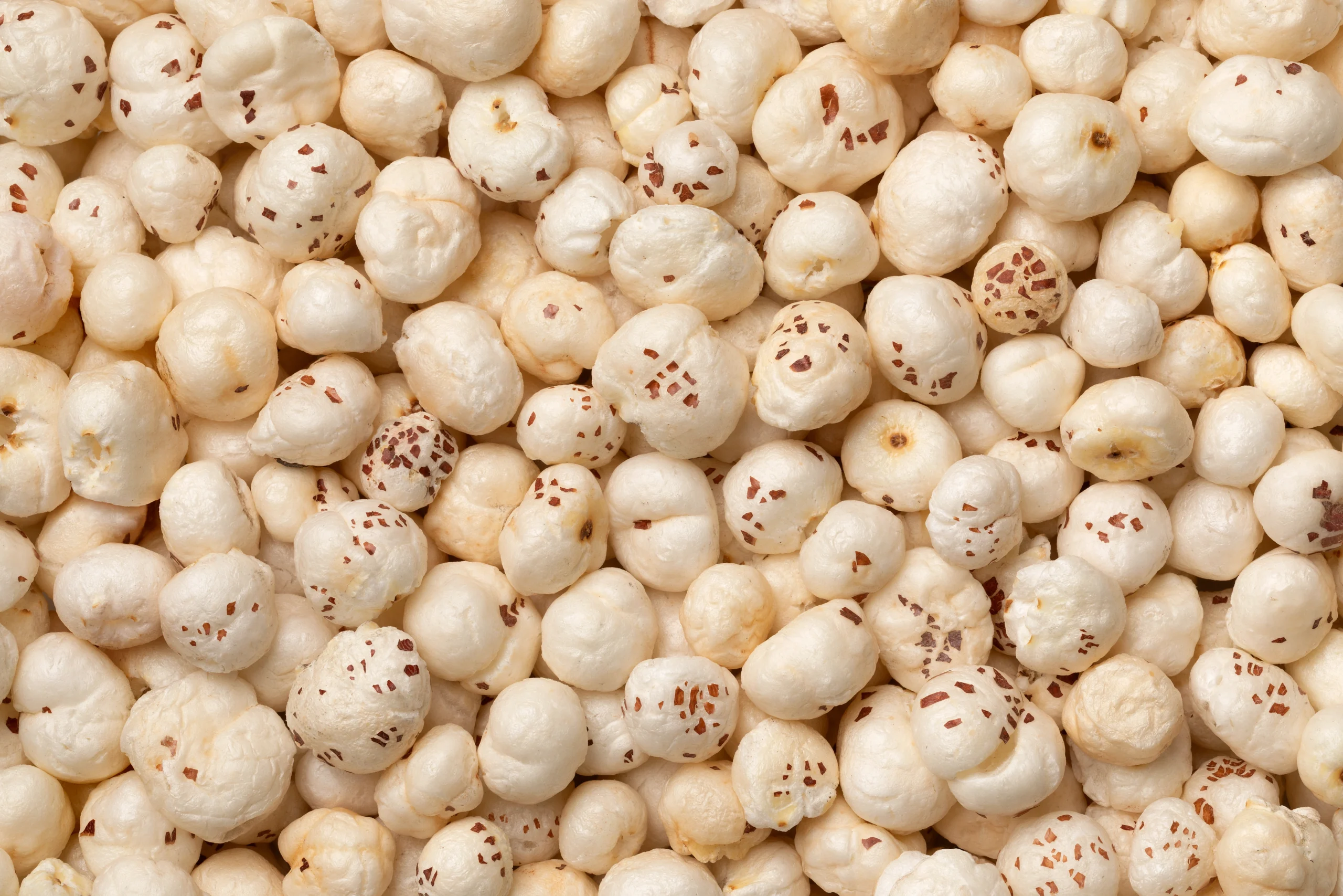 Bulk makhana from India for international buyers