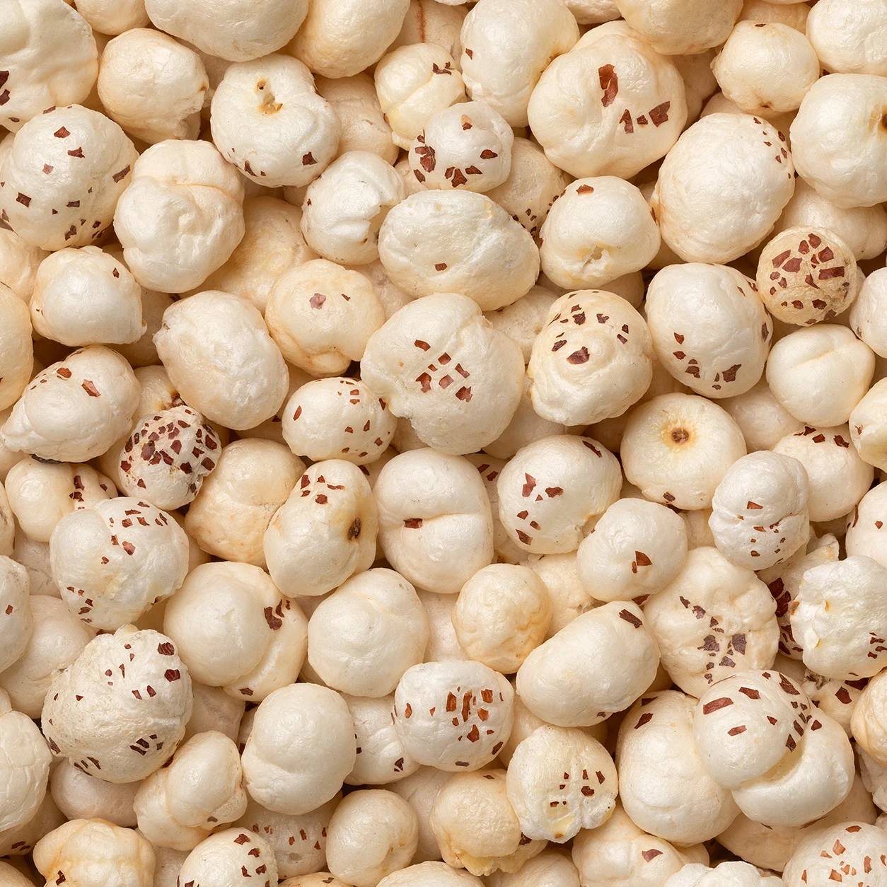 Foxnuts 