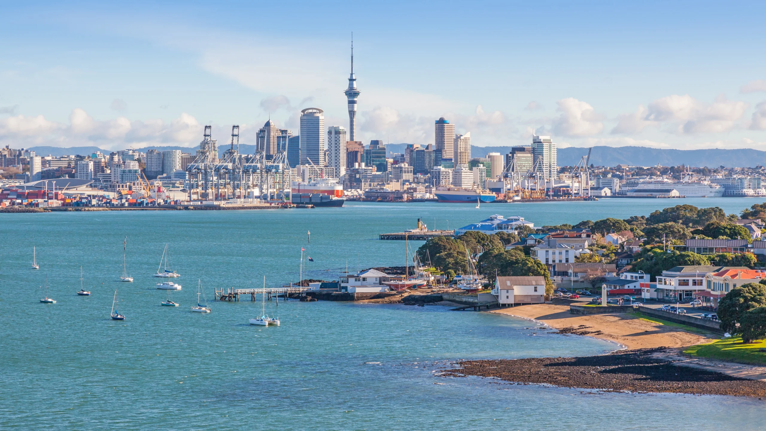 Turmeric export NZ importers